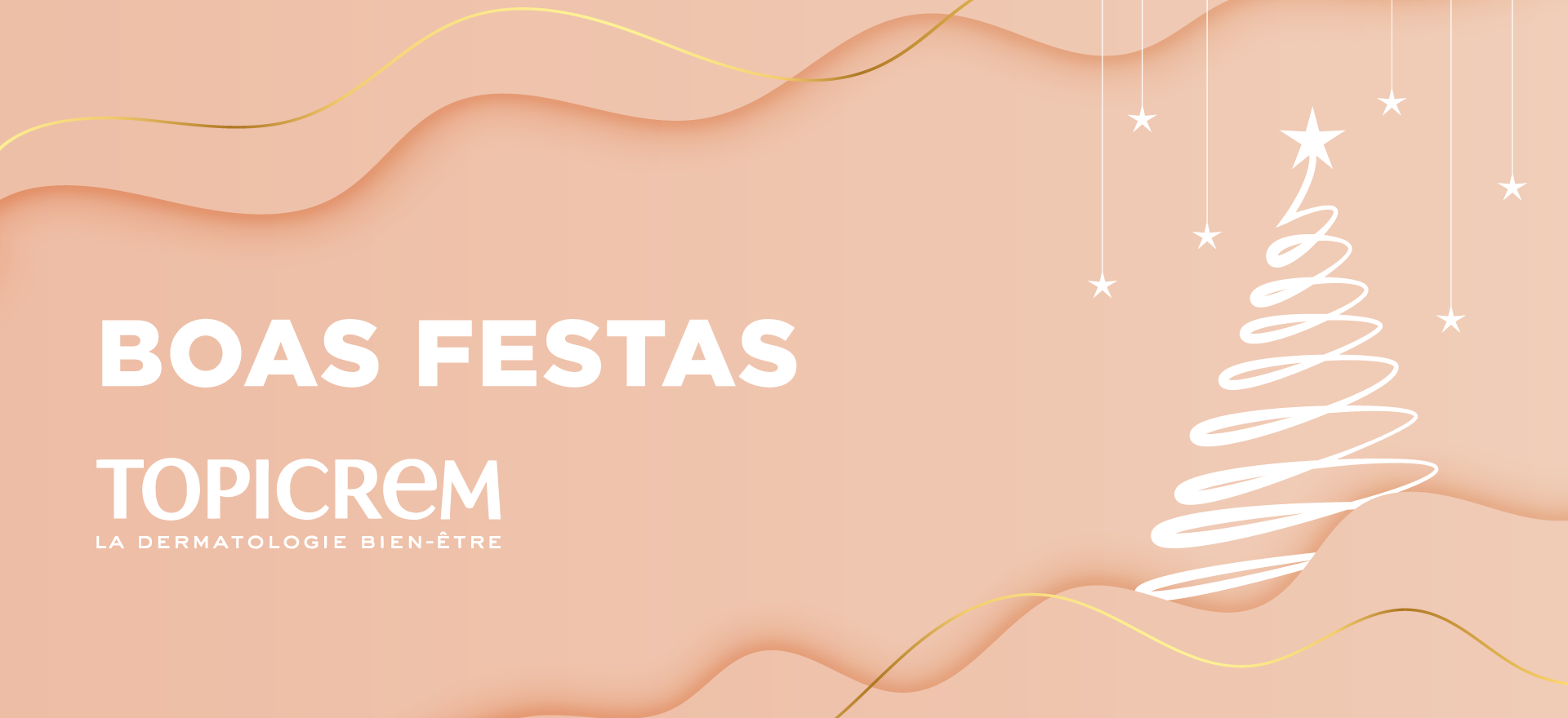 TOPICREM_BANNERS-WEBSITE_DEZEMBRO_v2-2-3